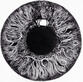The world was born and eyes saw